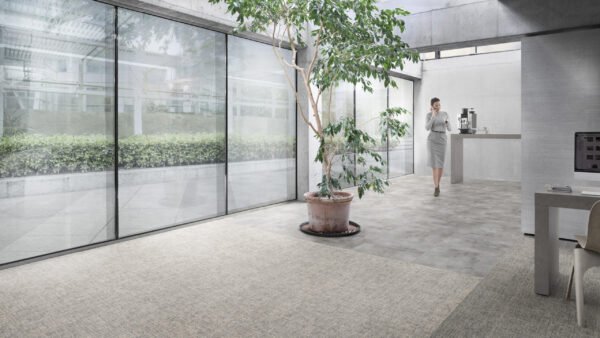 Desso Linon