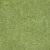 Fern