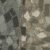 8343003 Greystone